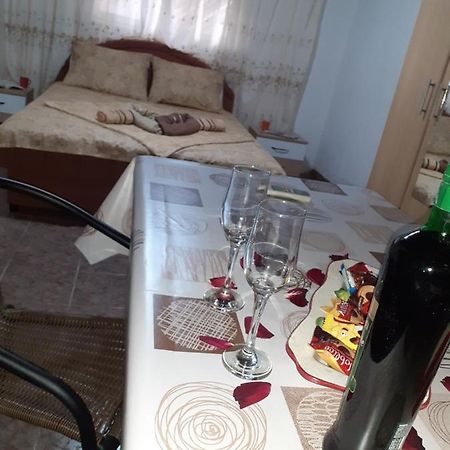 Studio-Apartman Milena 2 Podgorica Extérieur photo