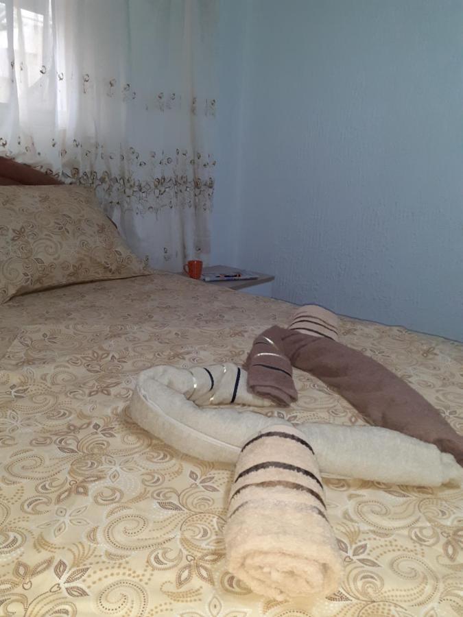 Studio-Apartman Milena 2 Podgorica Extérieur photo